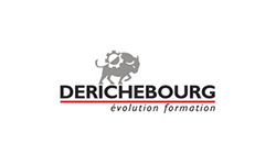 Derichebourg